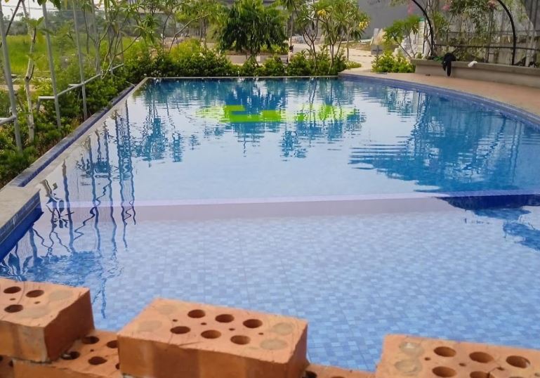 Tips Perawatan Kolam Renang Alami